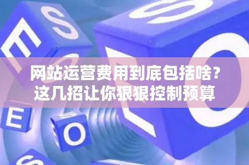 网站运营费用到底包括啥？这几招让你狠狠控制预算