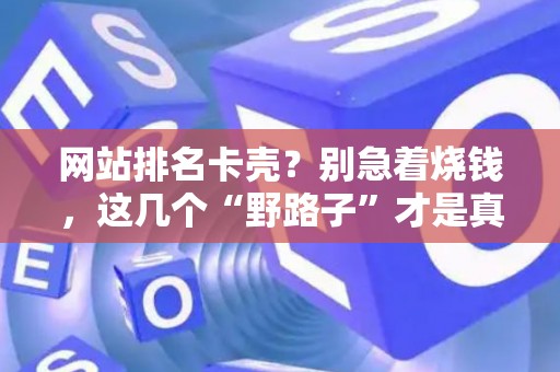 网站排名卡壳？别急着烧钱，这几个“野路子”才是真管用！