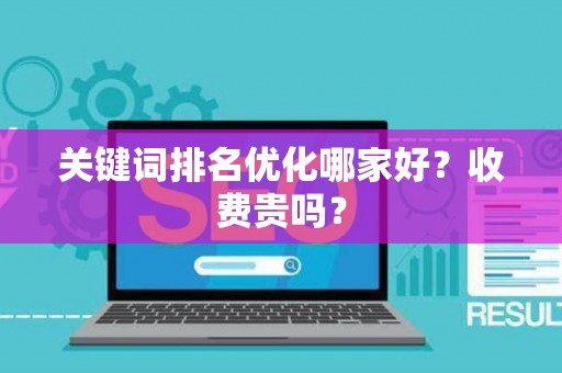 关键词排名优化哪家好?收费贵吗? 关键词排名优化哪家好?收费贵吗?