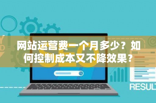 网站运营费一个月多少？如何控制成本又不降效果？