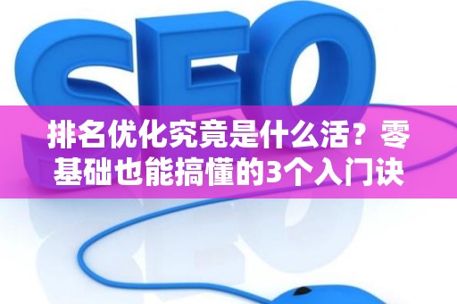 排名优化究竟是什么活？零基础也能搞懂的3个入门诀窍