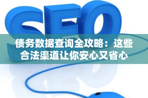 债务数据查询全攻略：这些合法渠道让你安心又省心
