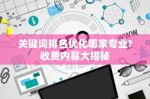 关键词排名优化哪家专业?收费内幕大揭秘
