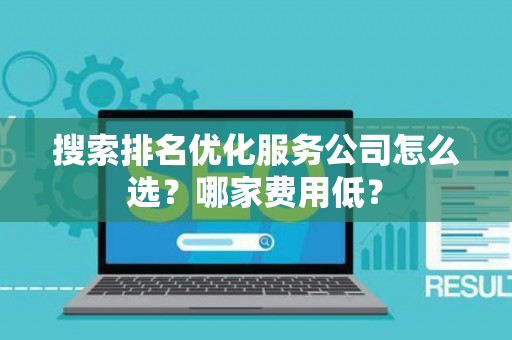 搜索排名优化服务公司怎么选？哪家费用低？