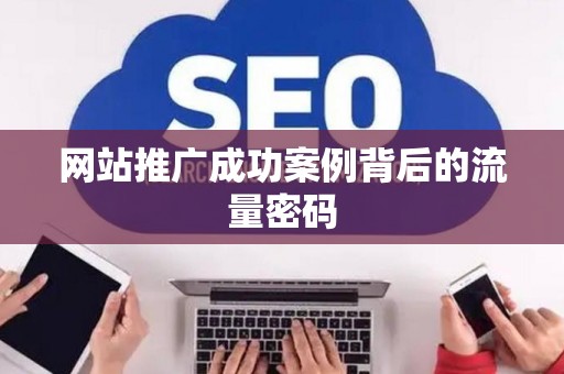 网站推广成功案例背后的流量密码