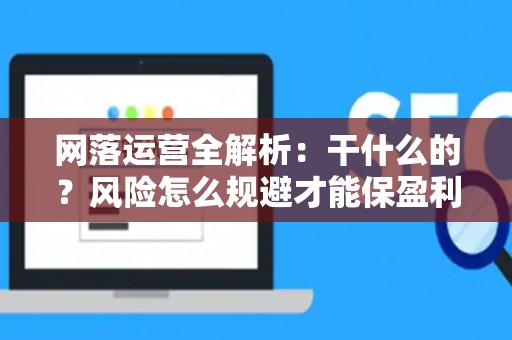 网落运营全解析：干什么的？风险怎么规避才能保盈利