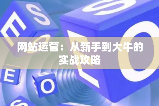 网站运营：从新手到大牛的实战攻略