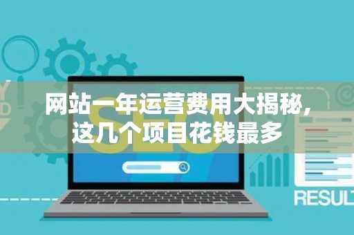 网站一年运营费用大揭秘,这几个项目花钱最多